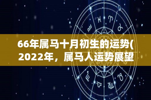 66年属马十月初生的运势(2022年，属马人运势展望！)