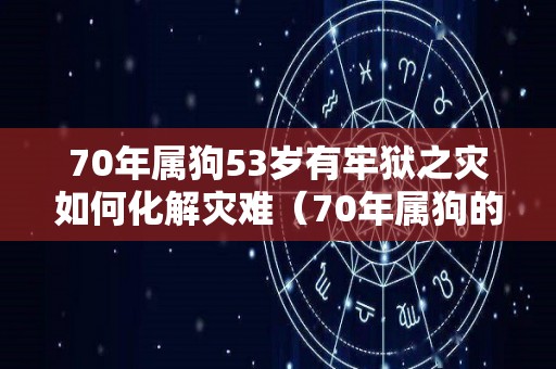 70年属狗53岁有牢狱之灾如何化解灾难（70年属狗的今年会不会有官司）