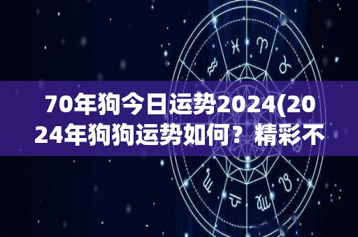 70年狗今日运势2024(2024年狗狗运势如何？精彩不容错过！)