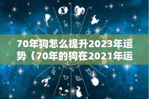 70年狗怎么提升2023年运势（70年的狗在2021年运势如何）