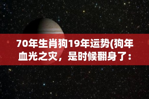 70年生肖狗19年运势(狗年血光之灾，是时候翻身了：2019狗年运势预测)