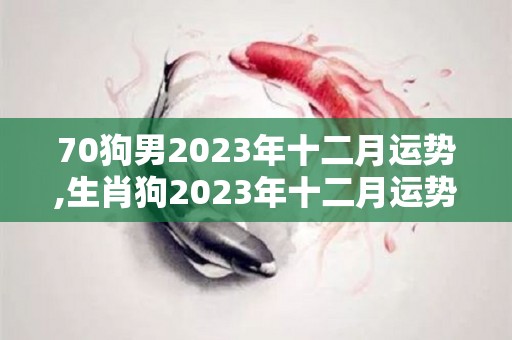 70狗男2023年十二月运势,生肖狗2023年十二月运势