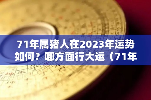 71年属猪人在2023年运势如何？哪方面行大运（71年属猪2023年运势及运程每月运程女）