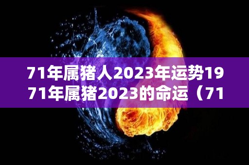 71年属猪人2023年运势1971年属猪2023的命运（71年属猪人2023年运势及运程）