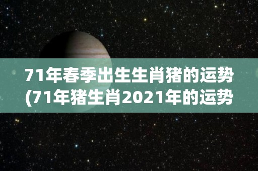 71年春季出生生肖猪的运势(71年猪生肖2021年的运势报道)