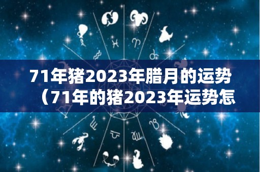 71年猪2023年腊月的运势（71年的猪2023年运势怎么样）