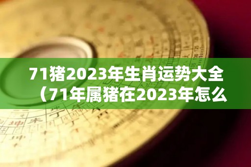 71猪2023年生肖运势大全（71年属猪在2023年怎么样）