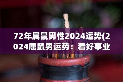 72年属鼠男性2024运势(2024属鼠男运势：看好事业与财运)