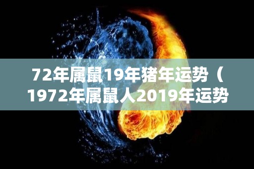 72年属鼠19年猪年运势（1972年属鼠人2019年运势运程每月运程）