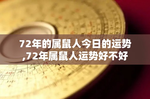 72年的属鼠人今日的运势,72年属鼠人运势好不好