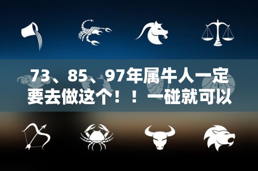 73、85、97年属牛人一定要去做这个！！一碰就可以发大财（97年属牛人的命运和婚姻）