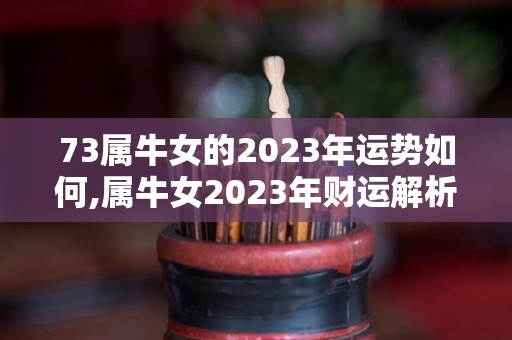 73属牛女的2023年运势如何,属牛女2023年财运解析