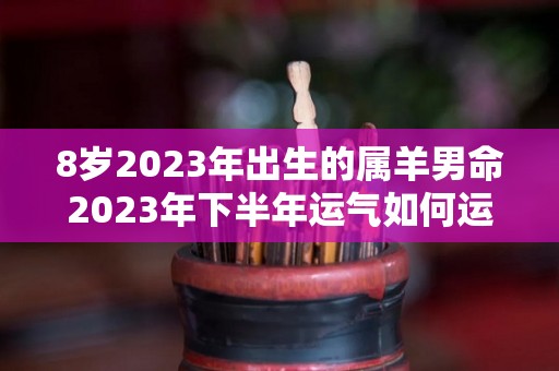 8岁2023年出生的属羊男命2023年下半年运气如何运势详解（2028年是什么命）