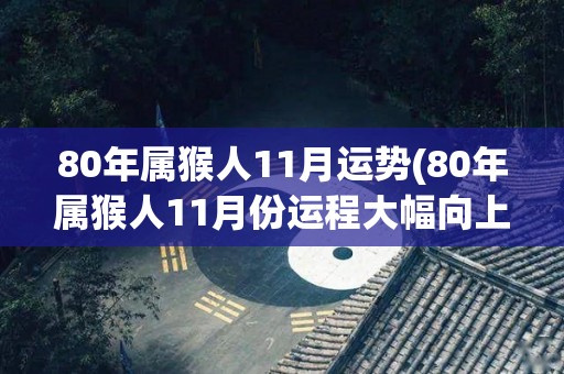 80年属猴人11月运势(80年属猴人11月份运程大幅向上提升)