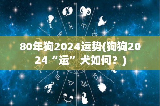 80年狗2024运势(狗狗2024“运”犬如何？)