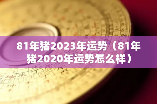 81年猪2023年运势（81年猪2020年运势怎么样）