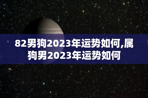 82男狗2023年运势如何,属狗男2023年运势如何