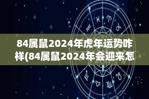 84属鼠2024年虎年运势咋样(84属鼠2024年会迎来怎样的运势呢？)