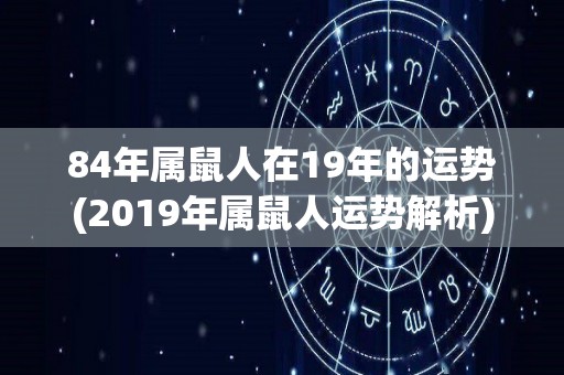 84年属鼠人在19年的运势(2019年属鼠人运势解析)