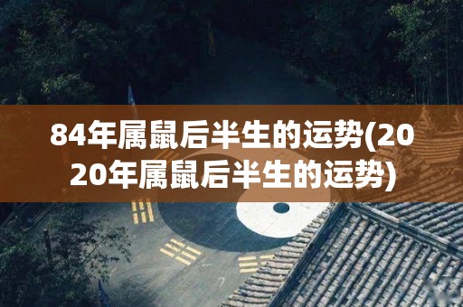 84年属鼠后半生的运势(2020年属鼠后半生的运势)