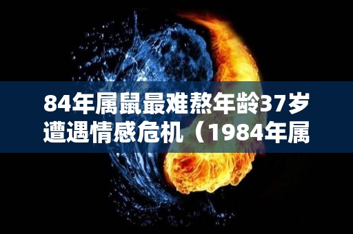 84年属鼠最难熬年龄37岁遭遇情感危机（1984年属鼠的最难熬年龄）