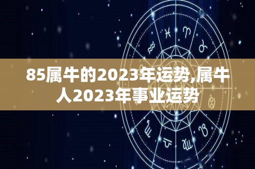 85属牛的2023年运势,属牛人2023年事业运势