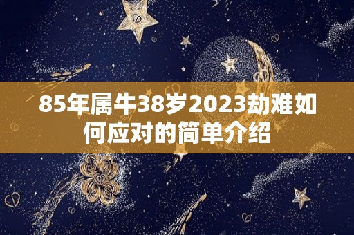 85年属牛38岁2023劫难如何应对的简单介绍