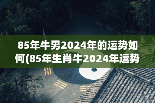 85年牛男2024年的运势如何(85年生肖牛2024年运势如何？)