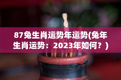 87兔生肖运势年运势(兔年生肖运势：2023年如何？)