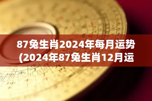 87兔生肖2024年每月运势(2024年87兔生肖12月运势解析)