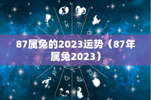 87属兔的2023运势（87年属兔2023）