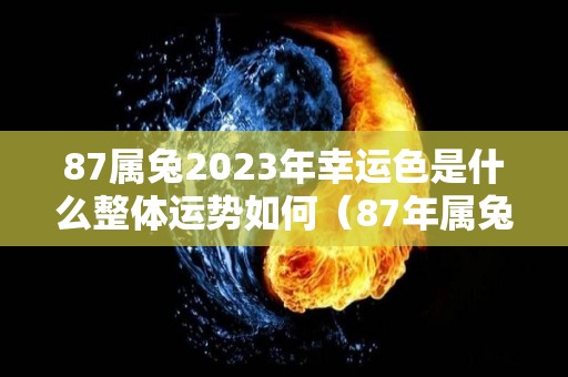 87属兔2023年幸运色是什么整体运势如何（87年属兔2023年运势及运程）