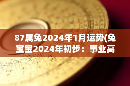 87属兔2024年1月运势(兔宝宝2024年初步：事业高升，财运亨通)