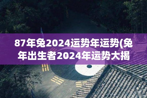 87年兔2024运势年运势(兔年出生者2024年运势大揭秘)