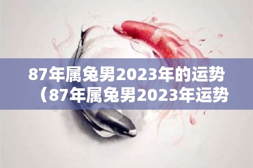 87年属兔男2023年的运势（87年属兔男2023年运势及运程每月）