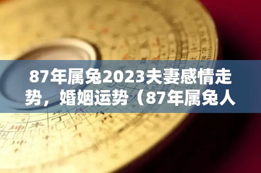 87年属兔2023夫妻感情走势，婚姻运势（87年属兔人在2023年的全年运势）