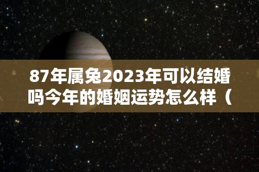 87年属兔2023年可以结婚吗今年的婚姻运势怎么样（87年兔2023年适合生子吗）