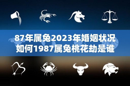 87年属兔2023年婚姻状况如何1987属兔桃花劫是谁（2023年1987年属兔男桃花怎样）