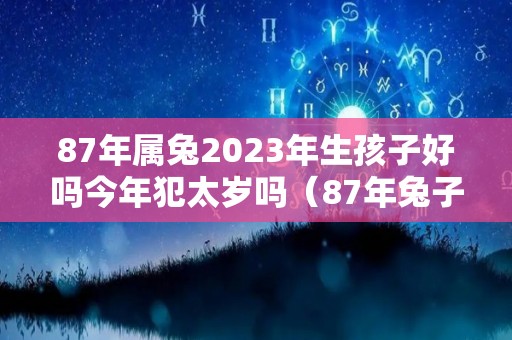 87年属兔2023年生孩子好吗今年犯太岁吗（87年兔子在2023年运势怎么样）