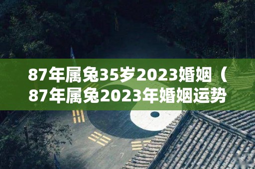 87年属兔35岁2023婚姻（87年属兔2023年婚姻运势及运程及每月的运势）