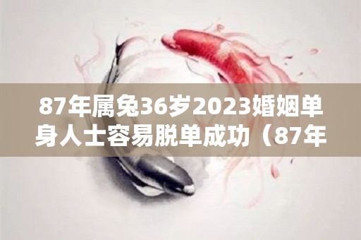 87年属兔36岁2023婚姻单身人士容易脱单成功（87年属兔2023年婚姻运势及运程及每月的运势）