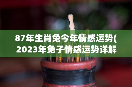 87年生肖兔今年情感运势(2023年兔子情感运势详解)