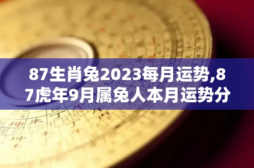 87生肖兔2023每月运势,87虎年9月属兔人本月运势分析