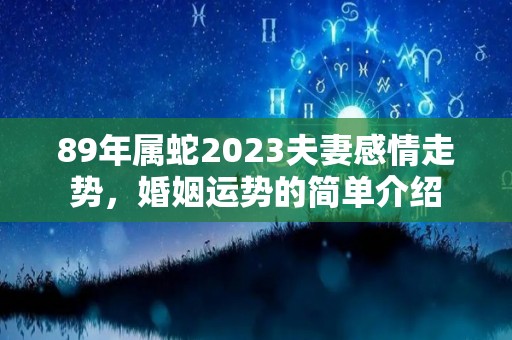 89年属蛇2023夫妻感情走势，婚姻运势的简单介绍