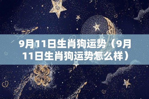 9月11日生肖狗运势（9月11日生肖狗运势怎么样）