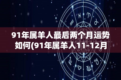 91年属羊人最后两个月运势如何(91年属羊人11-12月份运势预测)