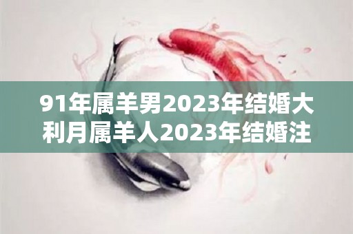 91年属羊男2023年结婚大利月属羊人2023年结婚注意事项（91年属羊男2023年的运势和婚姻）