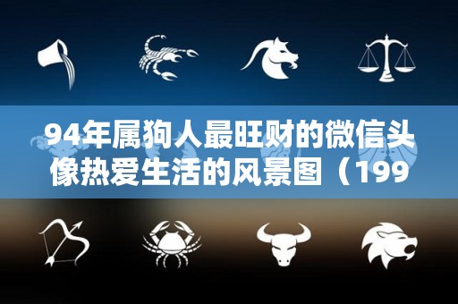 94年属狗人最旺财的微信头像热爱生活的风景图（1994年属狗人永远最旺的颜色）