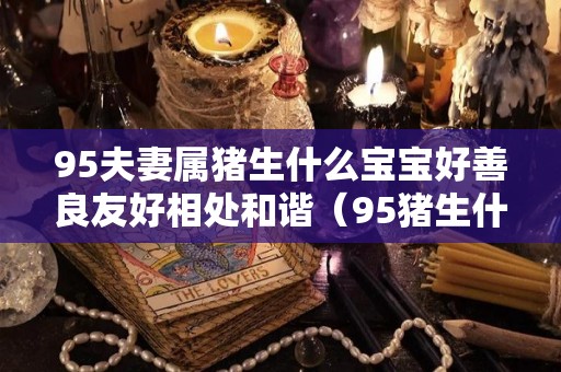 95夫妻属猪生什么宝宝好善良友好相处和谐（95猪生什么属相宝宝）