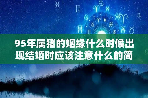 95年属猪的姻缘什么时候出现结婚时应该注意什么的简单介绍